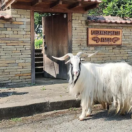 Луксозна вила хаджикольовата къща *